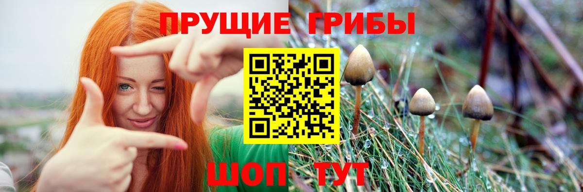 Галлюциногенные грибы Magic Shrooms  Вход с VPN  Псилоцибиновые грибы MAGIC MUSHROOMS  Ртищево 