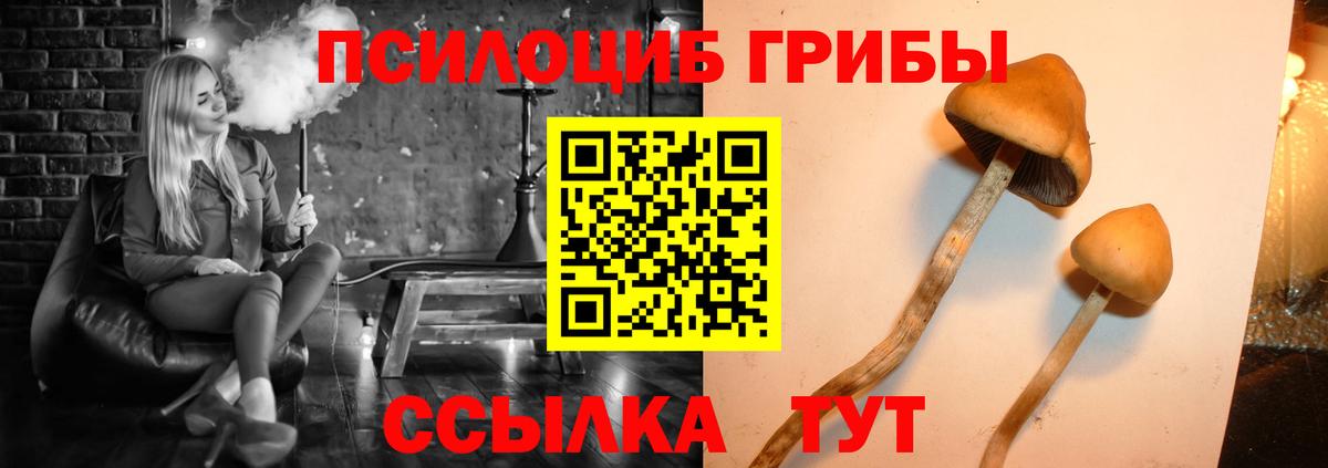 Псилоцибиновые грибы мицелий Ртищево